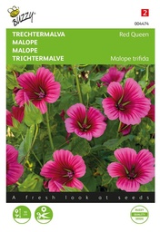 [02-004474] Malope trifidia RED QUEEN - ca 1,5 g