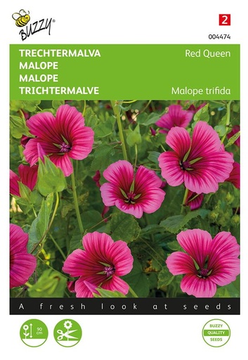 [02-004474] Malope trifidia RED QUEEN - ca 1,5 g