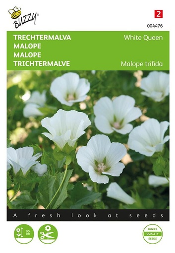 [02-004476] Malope trifidia WHITE QUEEN - ca 1,5 g