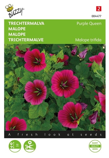 [02-004477] Malope trifidia PURPLE QUEEN - ca 1,5 g