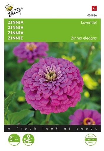 [02-004854] Zinnia elegans LAVENDEL - ca 100 z