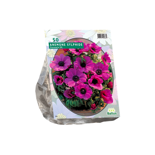 [09-100230] Anemone  Roze SYLPHIDE 7/8 (50st)