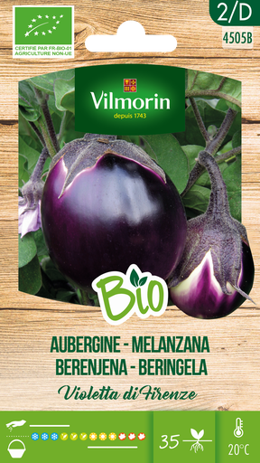 [03-004505] Aubergine VIOLETTA DI FIRENZE (BIO) - ca 0,5 g