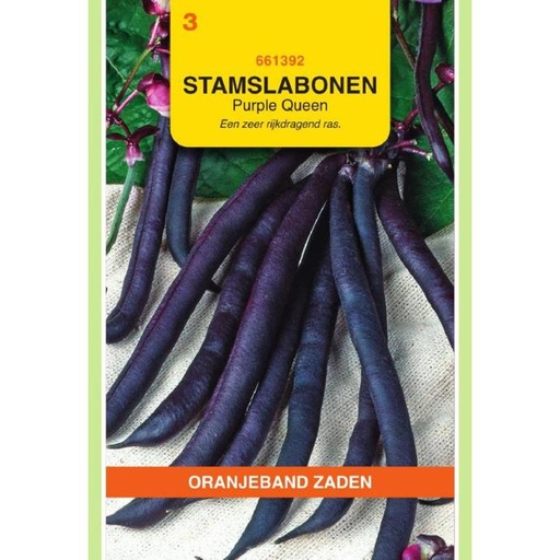 [02-661392] Gekleurde stam- of struikbonen PURPLE QUEEN - ca 25 g