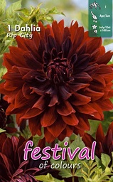 [09-200411] Cactusdahlia RIP CITY - 1 st