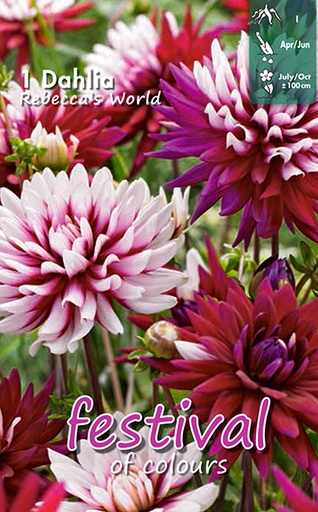 [09-200675] Dahlia décoratifs REBECCA'S WORLD - 1 pc