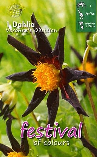 [09-202118] Dahlia VERRONE'S OBSIDIAN - 1 pc