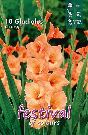 [09-202217] Glaieuls ORANGE - 7 pc