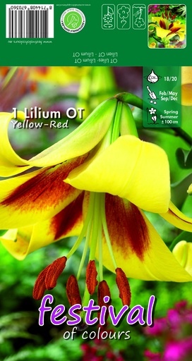 [09-202387] Lelies Yellow-Red Ot - 1 st
