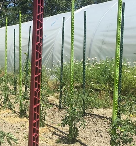 Plantensteun - 180 cm