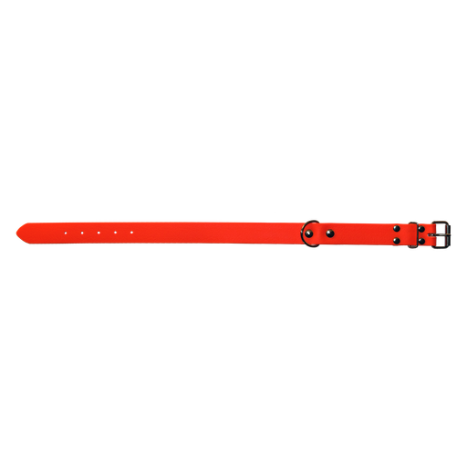 [FRI-3555799] Collier pour chien - cuir brun