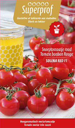[MR-7502] Nectartomaatje Solena F1 rood - 1 plantje