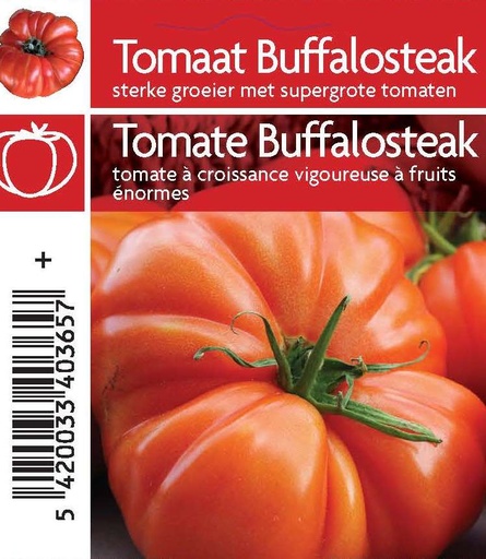 [MR-3620] Tomaat Buffalo Steak F1 - 1 plantje
