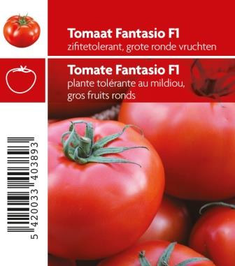 [MR-3670] Tomaat Fantasio F1 - 1 plantje
