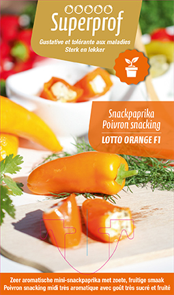 [MR-7184] Mini-snackpaprika oranje LOTTO F1 - 1 plantje