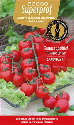 [MR-7510] Aperitieftomaat geënt SANVITOS F1 - 1 plantje
