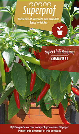 [MR-7200] Super chili hanging Camino F1 - 1 plantje
