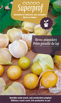 [MR-7130] KLEINE ANANASKERS - plant