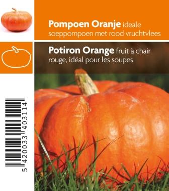 [MR-3040] Pompoen Rouge Vif D'Etampes - 1 plantje
