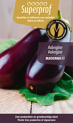 [MR-7100] Aubergine geënt Madonna F1 - 1 Plantje