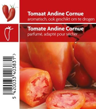 [MR-3610] Tomaat Andine Cornue - 1 plantje