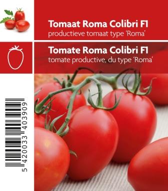 [MR-3760] TOMAAT ROMA COLIBRI F1 - plantje