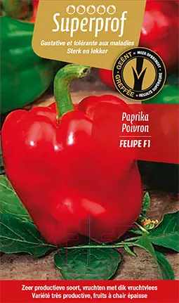 [MR-7180] Paprika geënt Felipe F1 - 1 Plantje