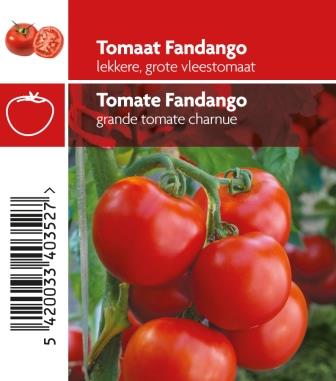 [MR-3660] Tomaat Fandango F1 - 1 plantje