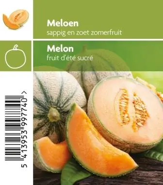 [MR-3105] Meloen Charentais - 1 Plantje