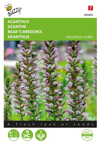 [02-005005] Acanthe - ca 2g