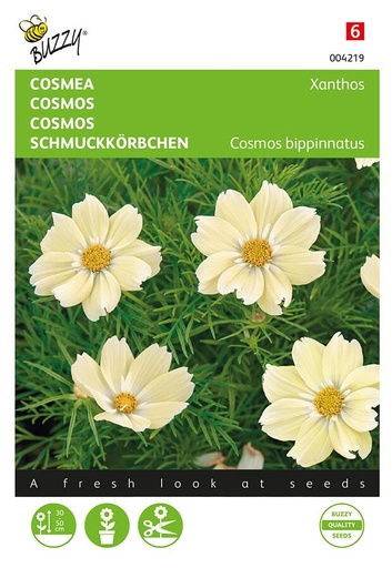 [02-004219] Cosmos XANTHOS - ca 10 graines