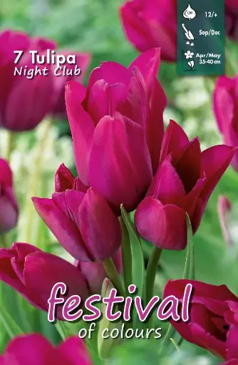 [09-202283] Tulips Night Club (12/+) - 7 st