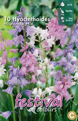 [09-200414] Hyac. Hispanica Mixed (8/10) - 10 st