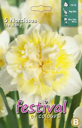 [09-200171] Narcisses Ice King (14/16) - 5 st