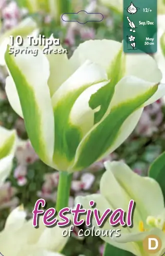 [09-200595] Tulipa Spring Green 12/+ (10 st)