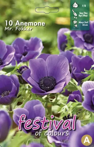 [09-200150] Anemone MR FOKKER 7/8 (10 st)