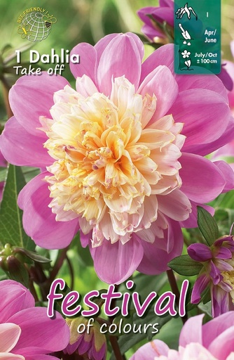[09-202380] Dahlia Take Off - 1st