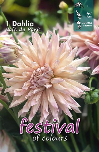 [09-202471] Dahlia Café de Paris - 1st