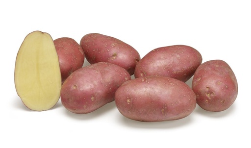 Aardappelpootgoed ALOUETTE klasse A 28/35