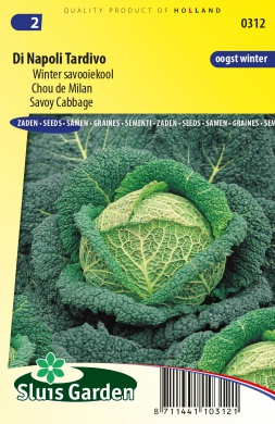 [01-000312] Savooikool DI NAPOLI TARDIVO - ca 0,6 g