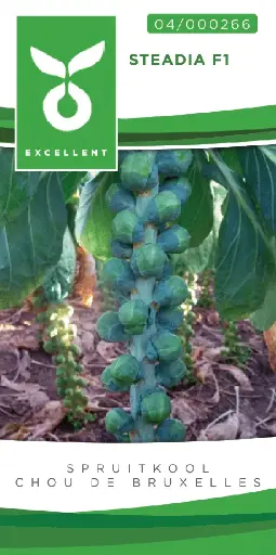 [04-000266] Spruitkool STEADIA F1 - ca 50 z