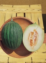 [25-002324] Melon italien NERITO - ca. 8 grammes
