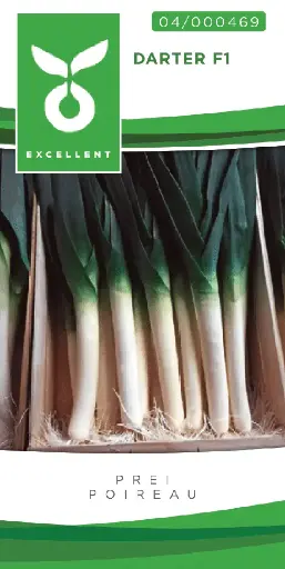 [04-000469] Poireau DARTER F1 - ca. 200 graines