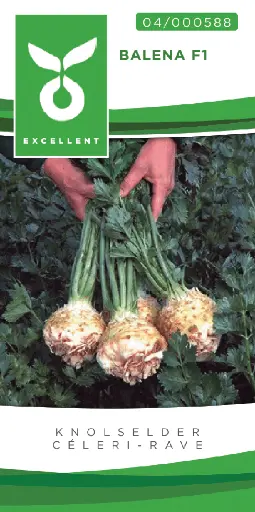 [04-000588] Céleri-rave BALENA F1 - ca. 200 graines