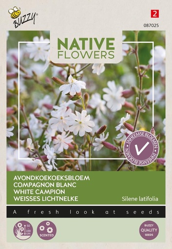 [02-087025] Compagnon blanc - ca 0.1 g