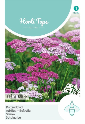 [02-015249] Achillea of duizendblad Cerise Queen - ca 0,08 g
