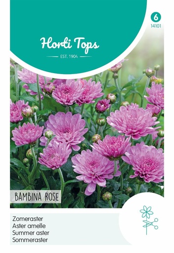 [02-014101] Aster amelle Bambina Rose - ca 20 graines