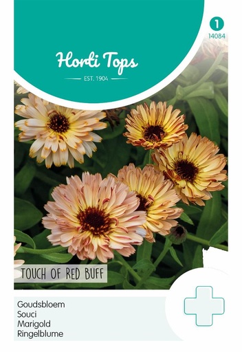 [02-014084] Calendula of goudsbloem TOUCH OF RED BUFF - ca 0.75 g