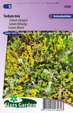 [01-006460] Sedum mélange - ca 450 graines