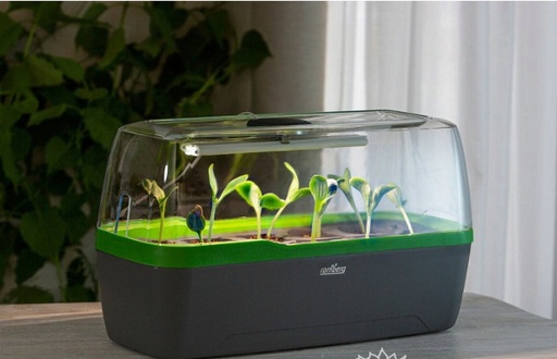 [12-008772] BOQUBE propagator - zonder verlichting